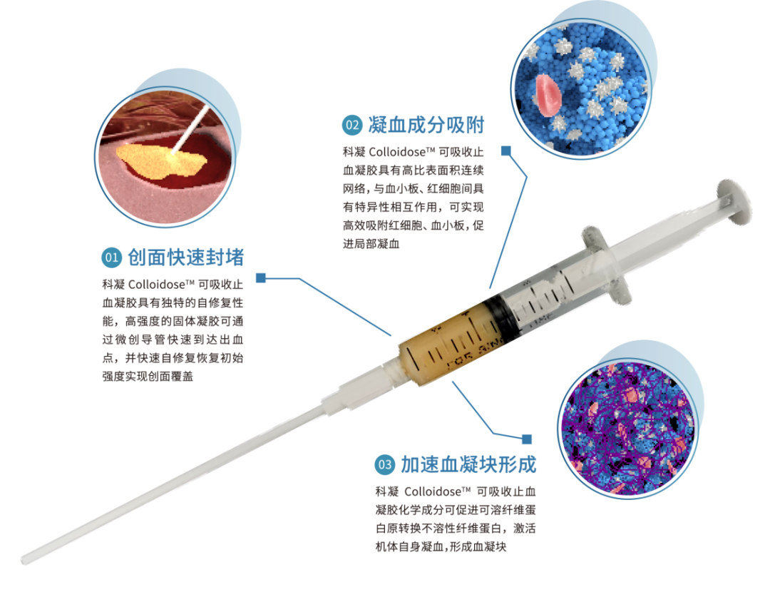 国中资讯 | 国中资本领投华诺生物A+轮融资